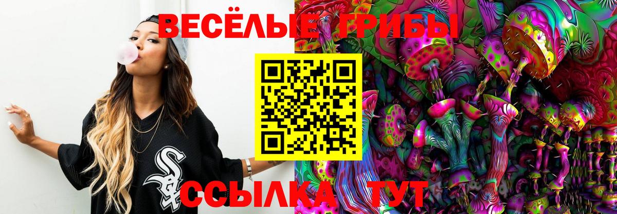 Галлюциногенные грибы Psilocybine cubensis Электрогорск